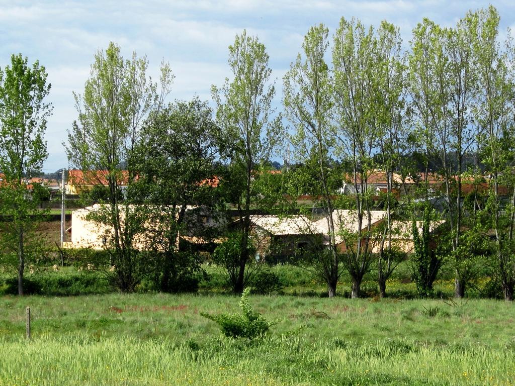 Casa Do Moinho Guest House โอวาร์ ภายนอก รูปภาพ